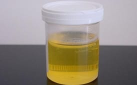fake urine